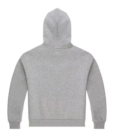 Hooded sweatshirt Converse Embroidered Star Hoody Damen Grau F035