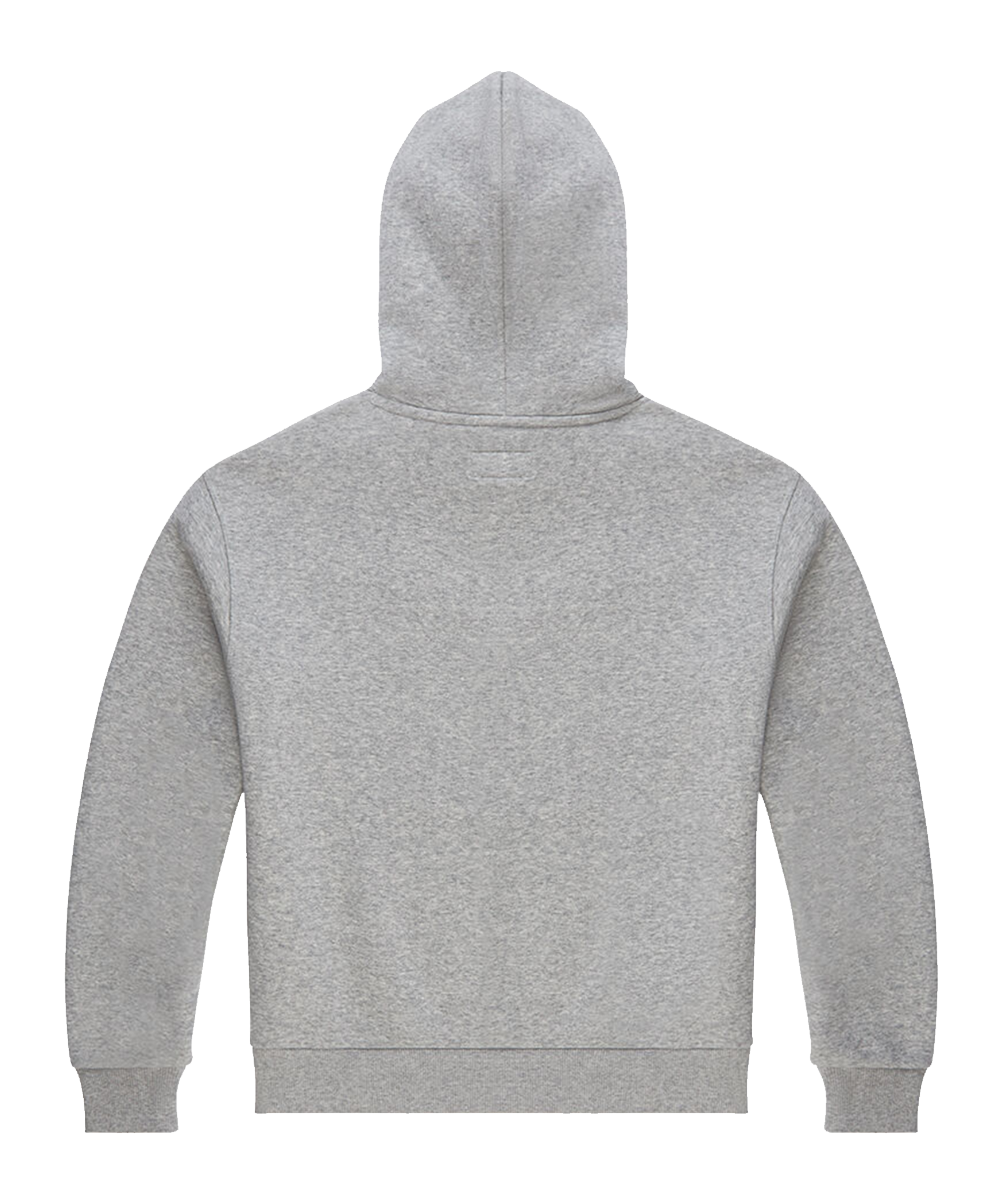 Hooded sweatshirt Converse Embroidered Star Hoody Damen Grau F035