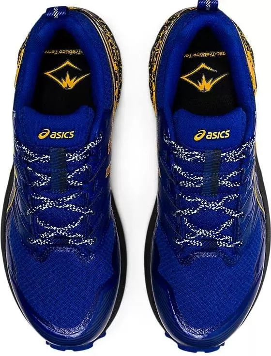 Scarpe per sentieri Asics GEL-Trabuco Terra