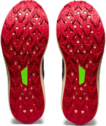 Zapatillas para trail Asics Fuji Lite 2