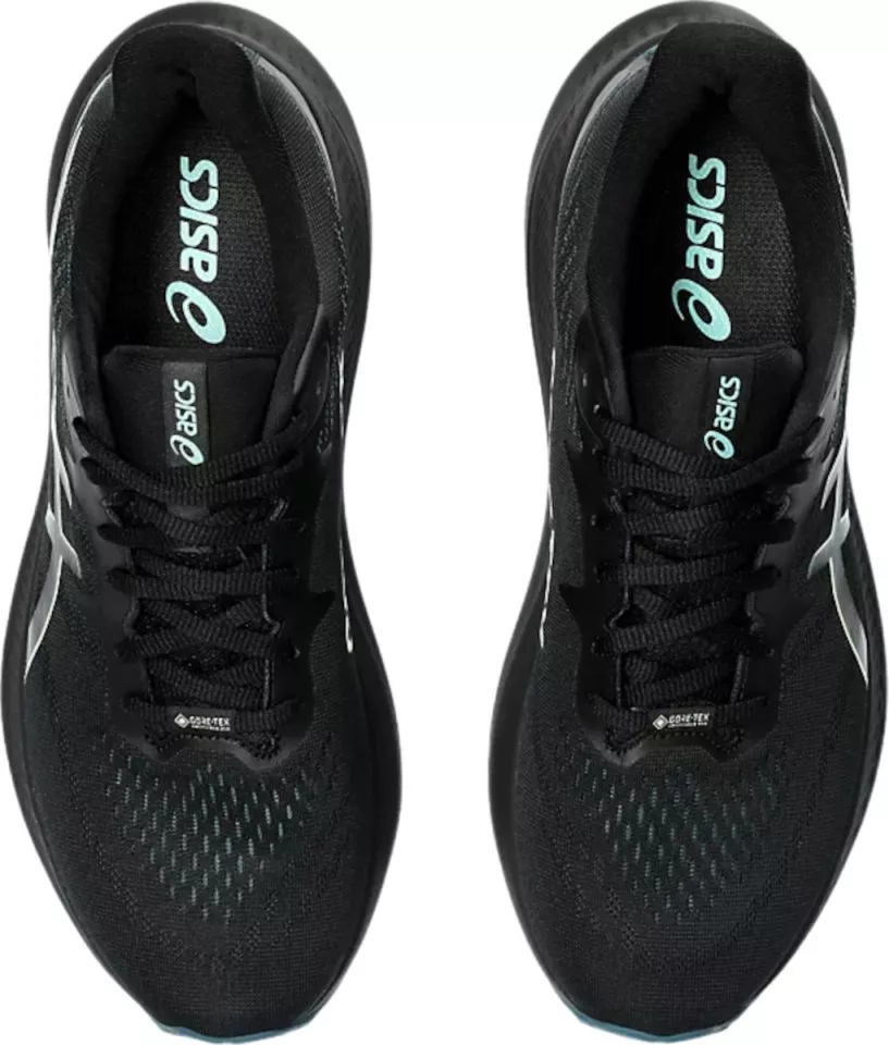 Running shoes Asics GT-2000 12 GTX