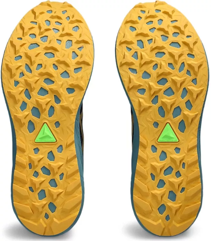 Zapatillas para trail Asics Fuji Lite 4