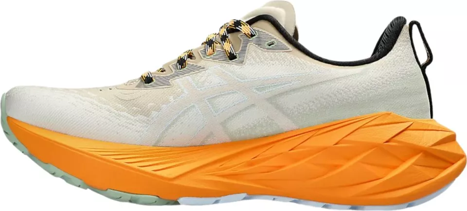 Chaussures de trail Asics NOVABLAST 4 TR