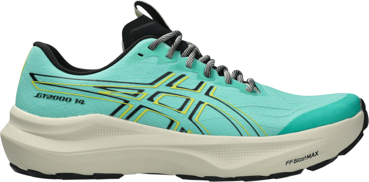 Asics GT-2000 14 TR