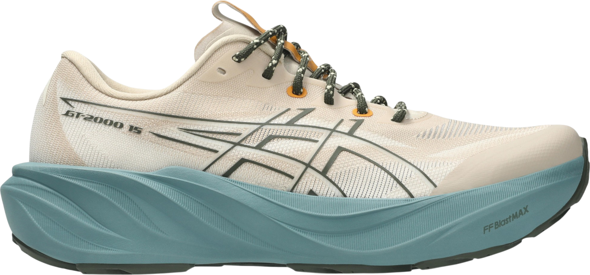 Asics Gt-2000 15 TR — Marron