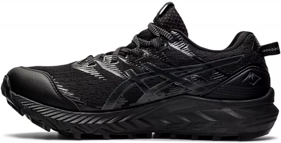 Trail shoes Asics GEL-Trabuco 10 GTX