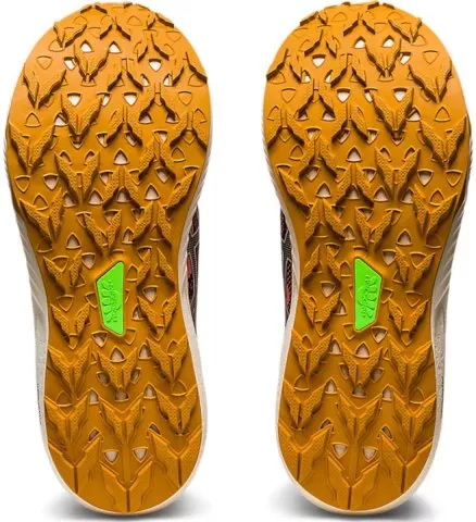 Trail shoes Asics Fuji Lite 3