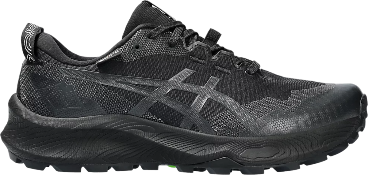 Trail schoenen Asics GEL-Trabuco 12 GTX