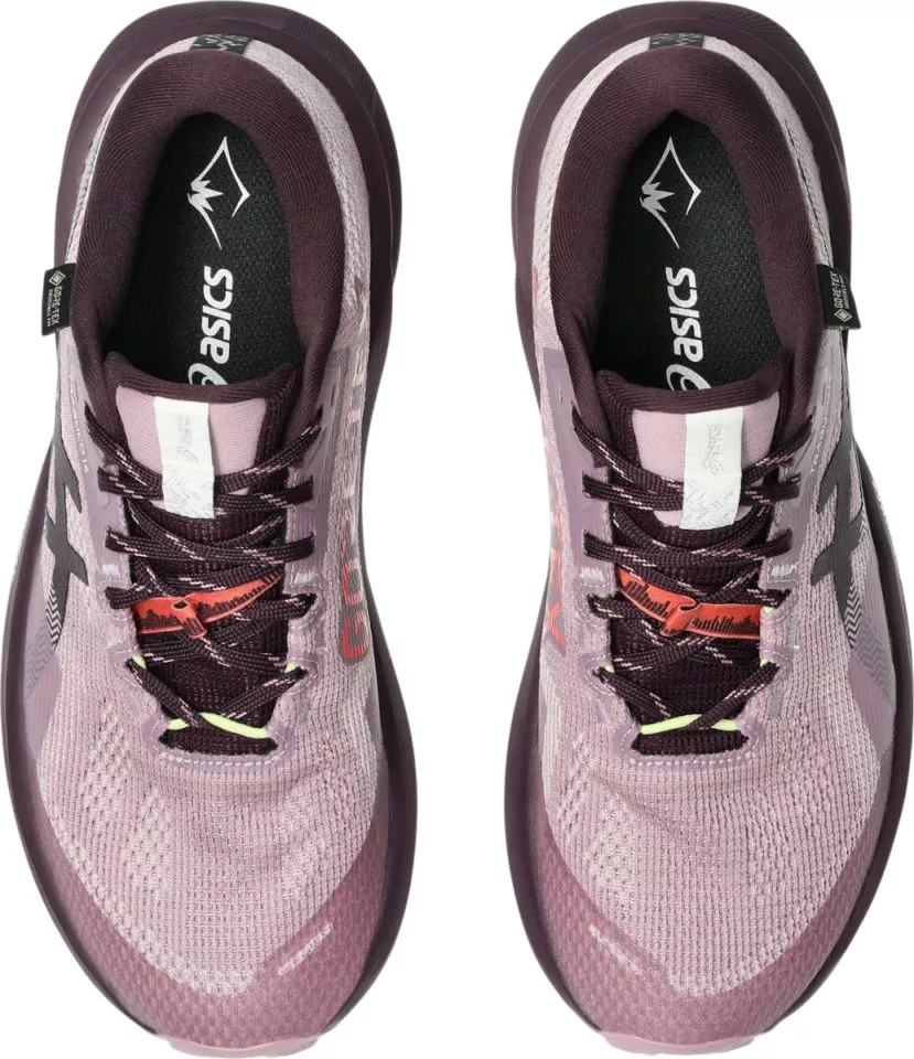 Trail shoes ASICS Trabuco 14 GTX