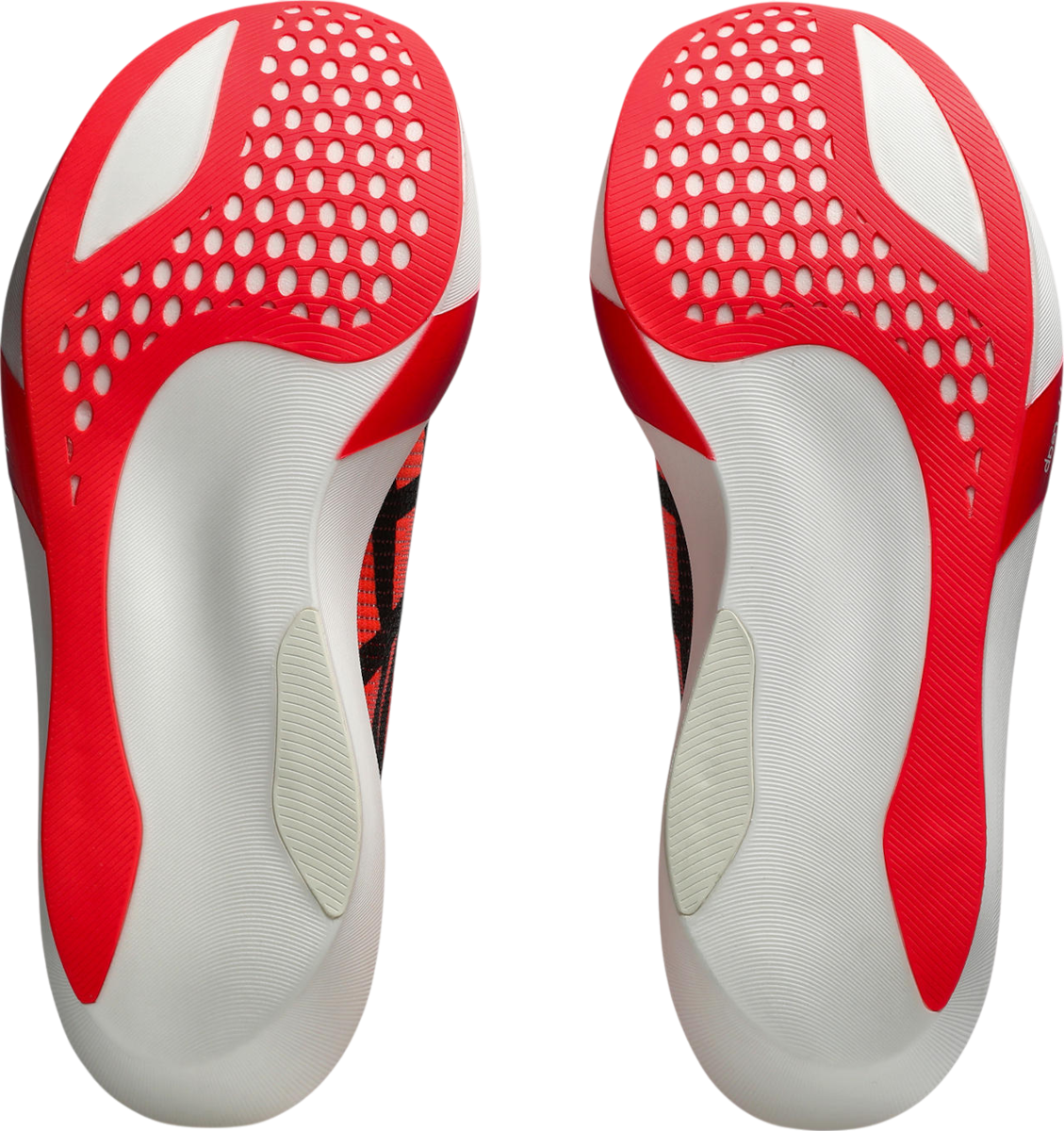 sky様 Buty do biegania Asics METASPEED SKY TOKYO - Top4Running.pl