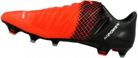 evopower 1.3 fg