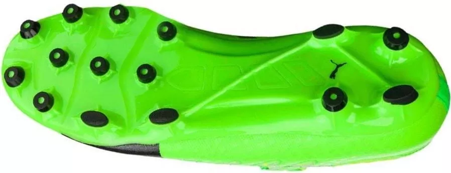 Football shoes Puma evopower vigor 2 ag f01