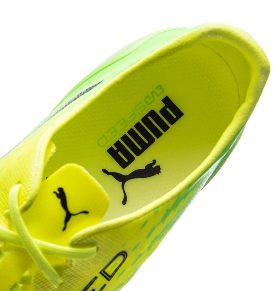 Scarpe da calcio Puma evoSPEED 17 SL FG