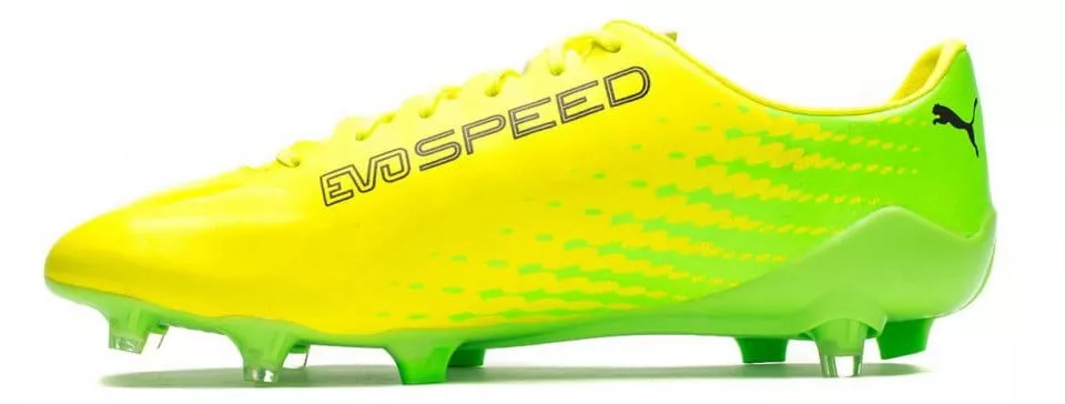 Football shoes Puma evoSPEED 17 SL S FG