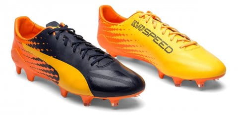Football shoes Puma evoSPEED 17 SL S FG 