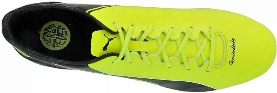 Football shoes Puma evospeed 17 sl-s df fg reus f01