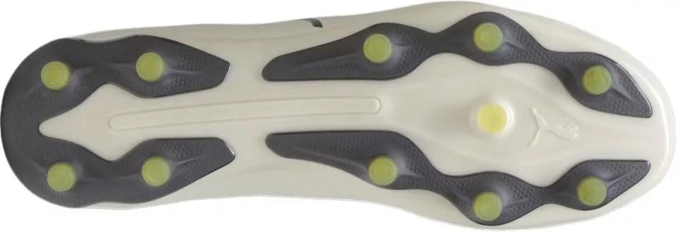 Pánské kopačky Puma King Pro FG/AG