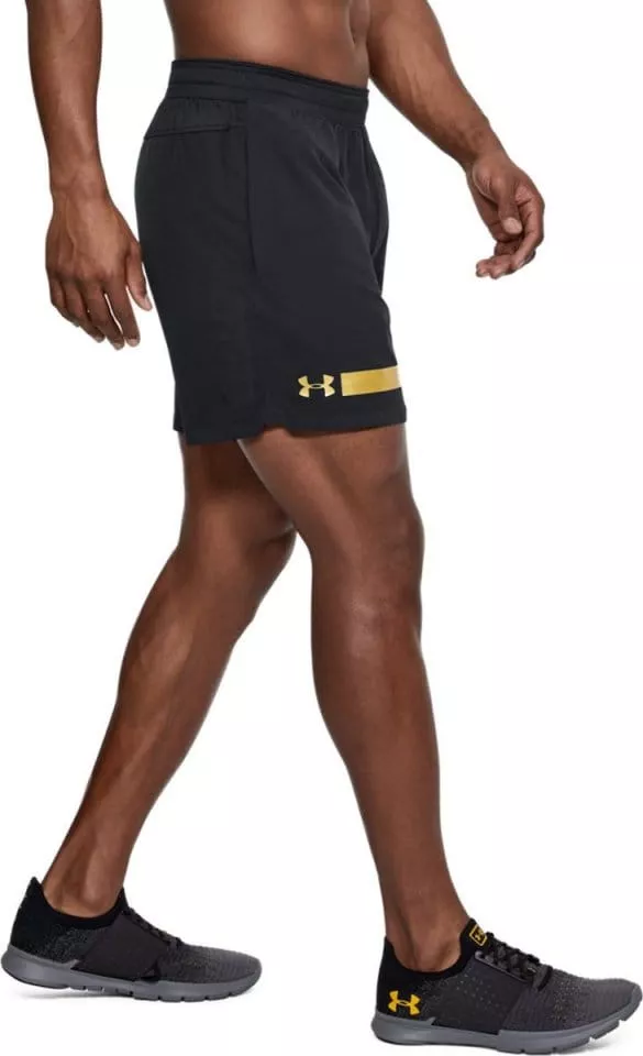 Šortky Under Armour Perpetual Short