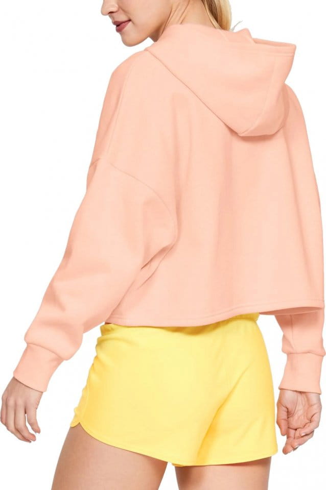 Hooded sweatshirt Under Armour UA TAPED FLEECE HOODIE