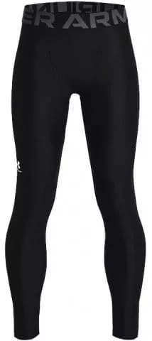 UA HG Armour Leggings