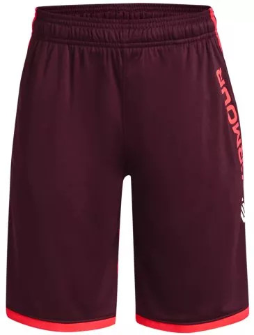 UA Stunt 3.0 Shorts