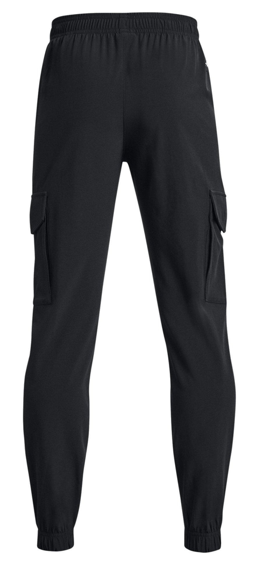 Pants Under Armour Project Rock Pennant Woven Cargo