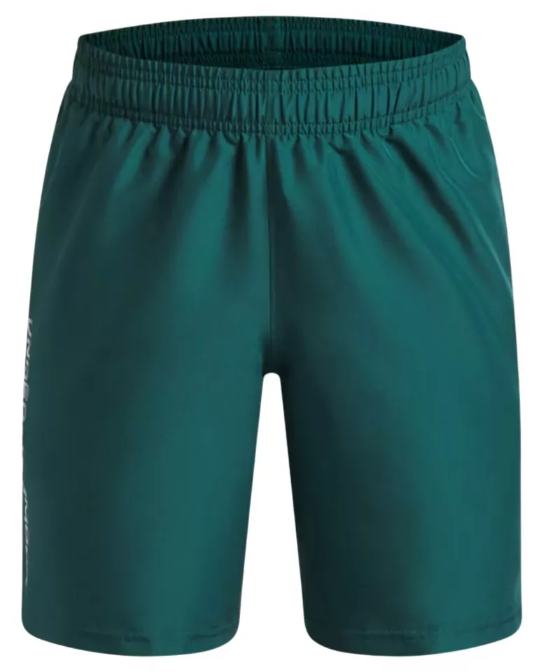 Shorts Under Armour UA Tech Woven Wordmark Short