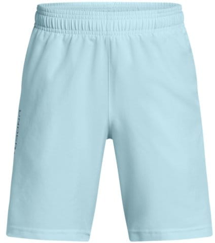 UA Tech Woven Wordmark Short