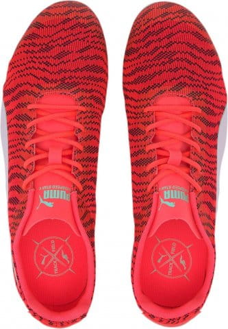 evospeed star 6