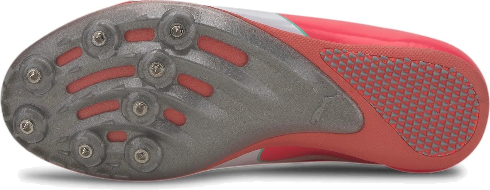 Puma evospeed cheap sprint v6