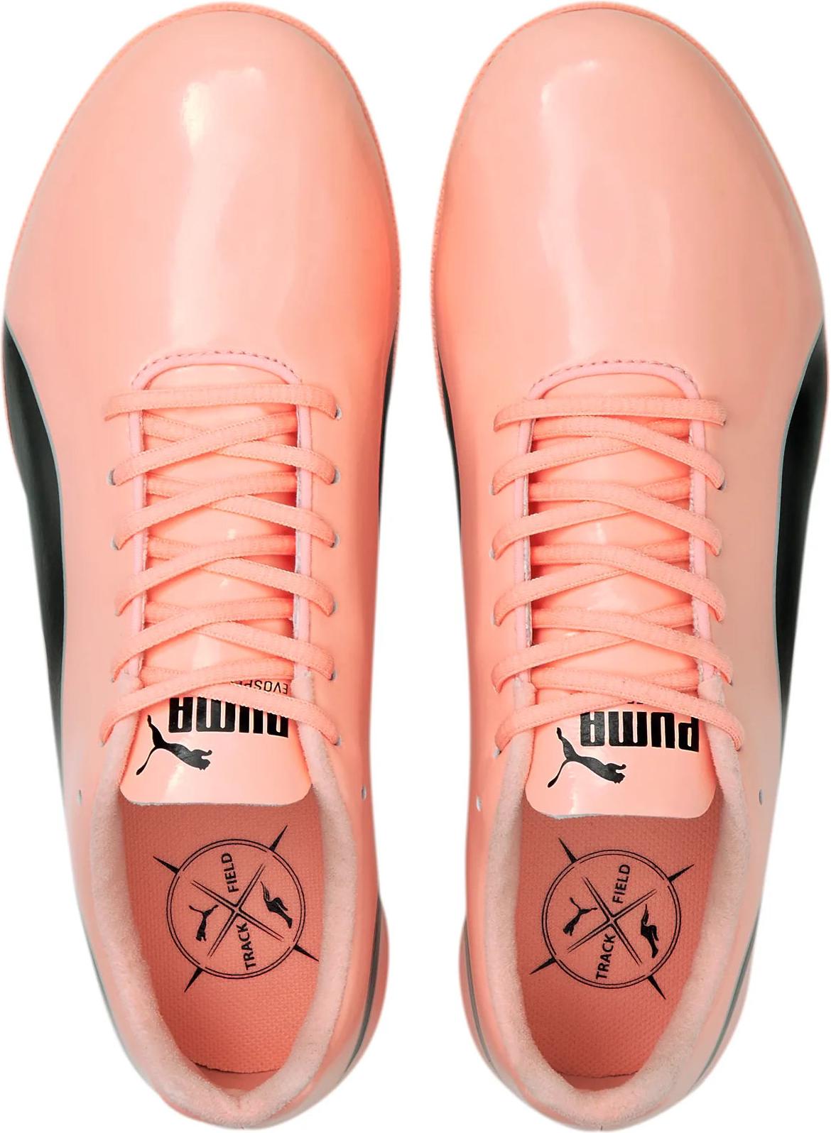 puma evospeed 10