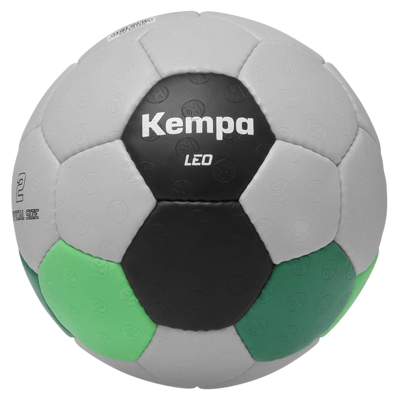 Kempa Leo Training