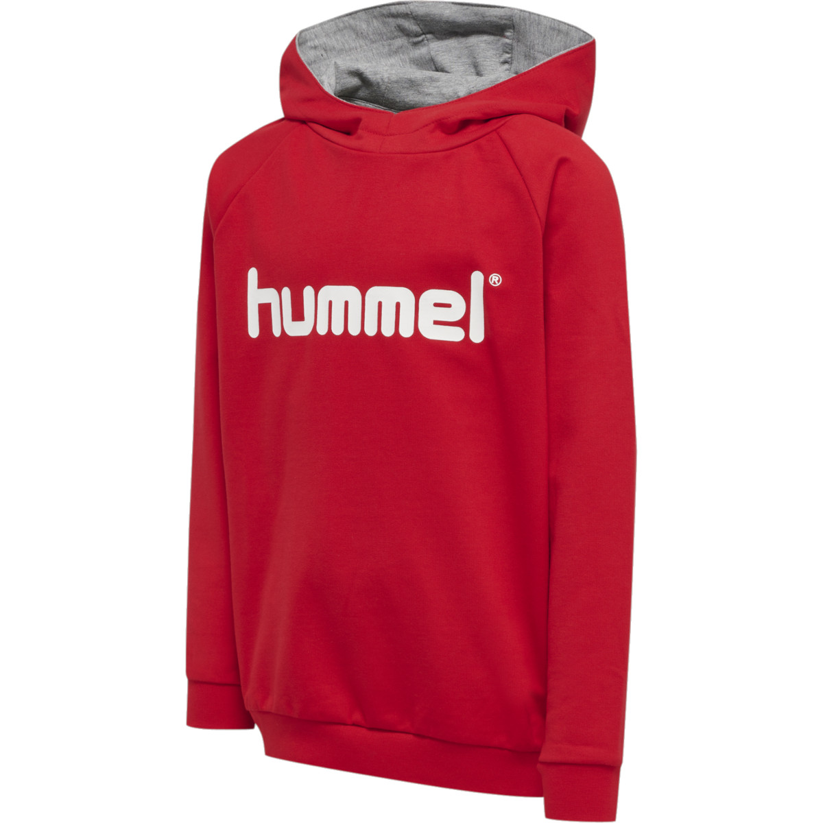 dramatisk Bonde dæk Hooded sweatshirt Hummel GO KIDS COTTON LOGO HOODIE - Top4Football.com