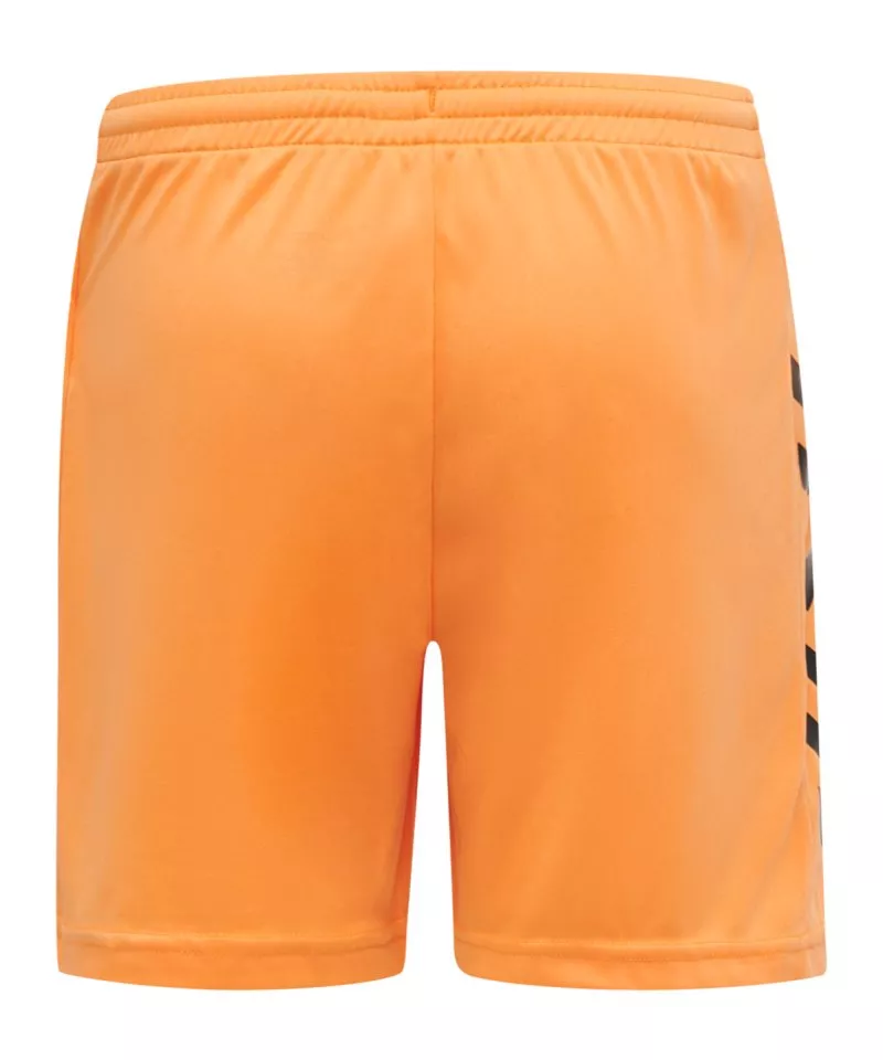 Maillot à manches longues Hummel CORE KIDS GK SET