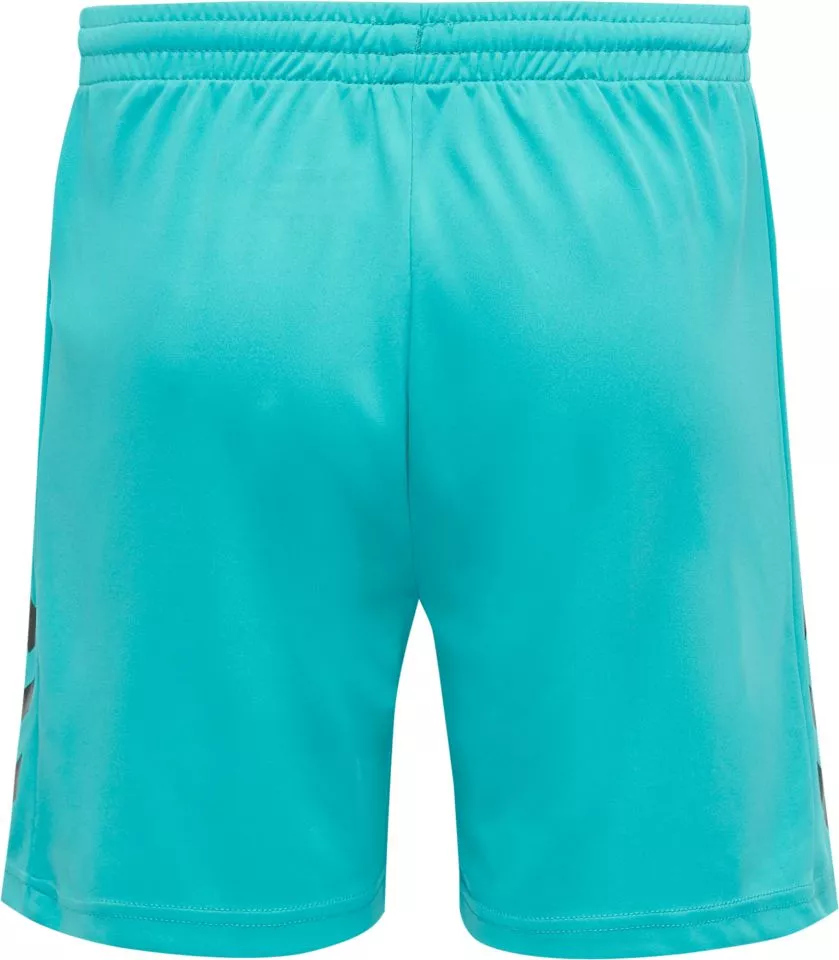 Dres z dolgimi rokavi Hummel CORE KIDS GK SET