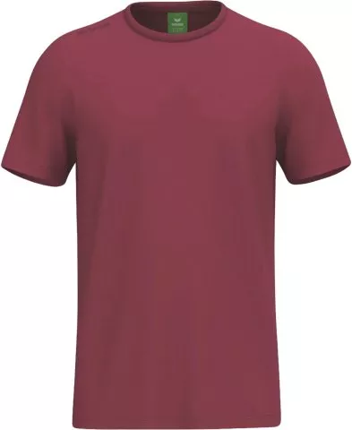 TS