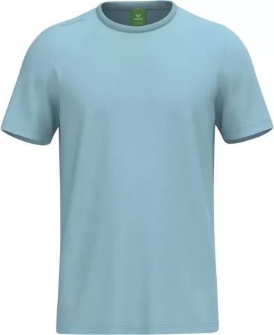 TS