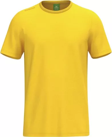 TS