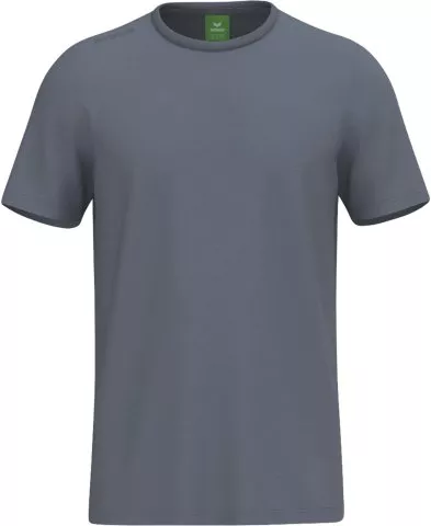 TS