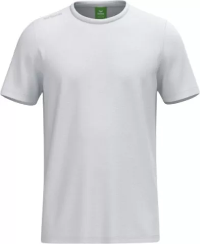 TS