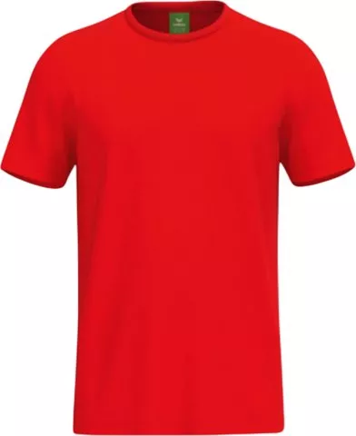TS