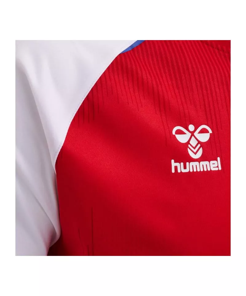 Trikot Hummel DBU Dänemark JSY Home 2020 Kids