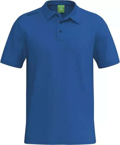 TS Polo