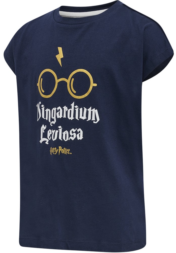 Dětské tričko s krátkým rukávem Hummel Harry Potter Diez