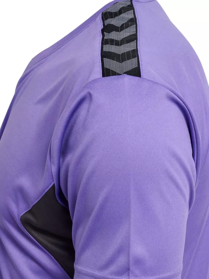 Φανέλα Hummel HMLAUTHENTIC PL JERSEY S/S