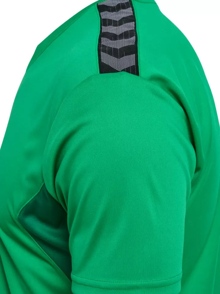 Φανέλα Hummel HMLAUTHENTIC PL JERSEY S/S