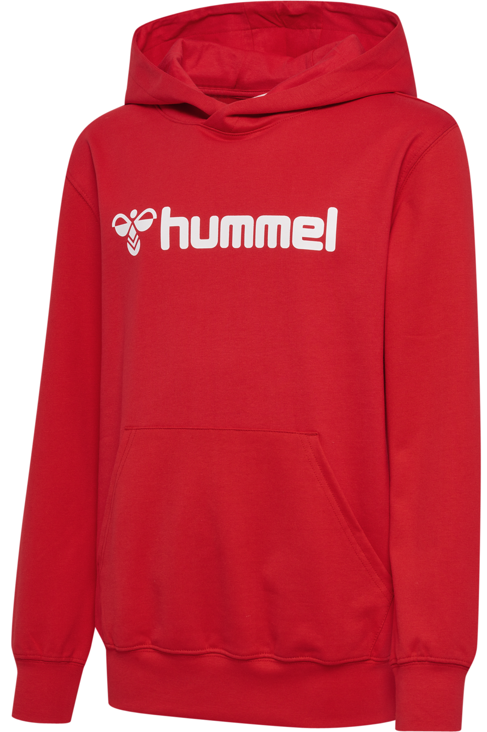HMLGO 2.0 LOGO HOODIE KIDS
