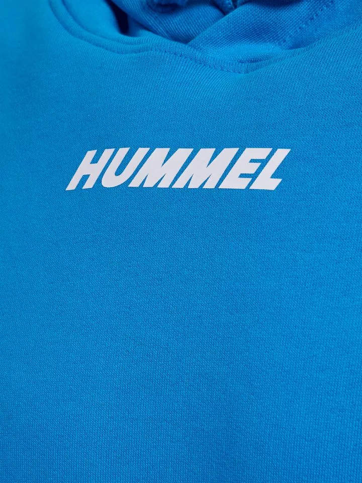 Sweatshirt med hætte Hummel hmlELEMENTAL HOODIE