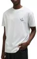 alb