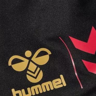 Σκουφάκι Hummel hmlE24C REVERSIBLE BEANIE